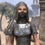 Crafty Lerisa’s Thief Outfit