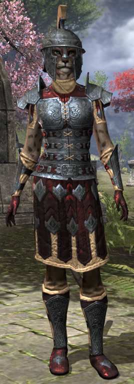 ESO Fashion | Order of the Hour Rubedo Leather (Elder Scrolls Online)