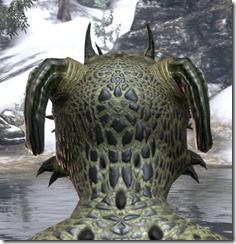 Antierior Antlers 3 Antierior Antlers 3