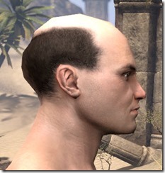 Balding But Distinguished 2 Balding But Distinguished 2
