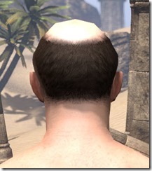 Balding But Distinguished 3 Balding But Distinguished 3