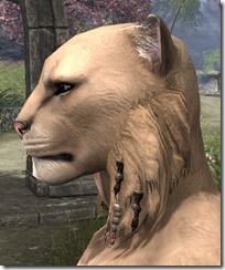Beaded Sideburn Mane Khajiit Male 2 Beaded Sideburn Mane Khajiit Male 2