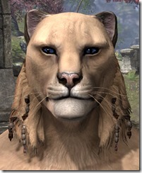 Beaded Sideburn Mane Khajiit Male Beaded Sideburn Mane Khajiit Male