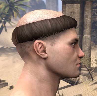 ESO Fashion  Breton Tonsure