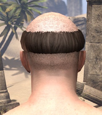 ESO Fashion | Breton Tonsure (Elder Scrolls Online)