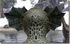 Broad Web Ears 3 Broad Web Ears 3
