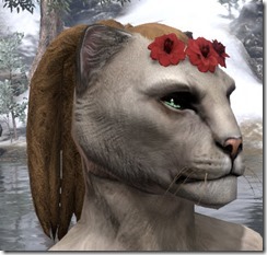 Crimson Flower Circlet Khajiit Female 2 Crimson Flower Circlet Khajiit Female 2