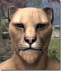 Dignified Goatee Khajiit Male Dignified Goatee Khajiit Male