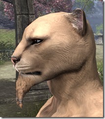 Forked and Tied Goatee Khajiit Male 2 Forked and Tied Goatee Khajiit Male 2