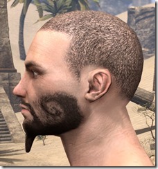 Goatee and Stubble Male 2 Goatee and Stubble Male 2
