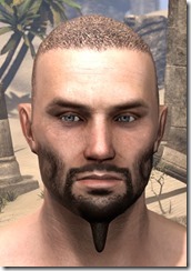 Goatee and Stubble Male Goatee and Stubble Male