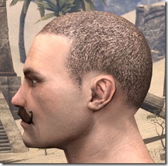 Handlebar Mustache Male 2 Handlebar Mustache Male 2