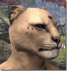 Head and Cheekbone Studs Khajiit Male 2 Head and Cheekbone Studs Khajiit Male 2