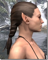 Heroic Hind Braid 2 Heroic Hind Braid 2