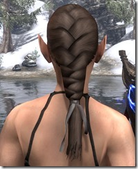 Heroic Hind Braid 3 Heroic Hind Braid 3