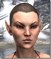 Heroic Hind Braid Heroic Hind Braid