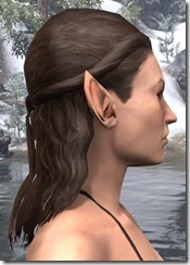 Long Curly Crown Braid 2 Long Curly Crown Braid 2