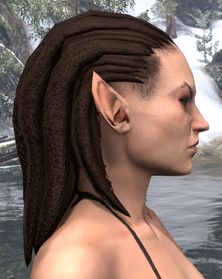 ESO Fashion  Long Full Dreads (Elder Scrolls Online)