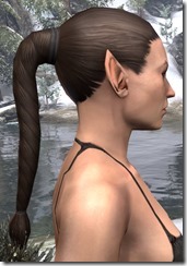 Long Hind Braid 2 Long Hind Braid 2