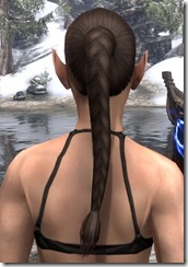 Long Hind Braid 3 Long Hind Braid 3