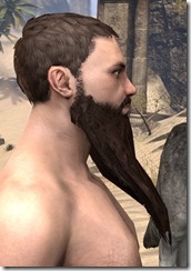 Long Patriarch Beard 2 Long Patriarch Beard 2
