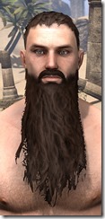 Long Patriarch Beard Long Patriarch Beard