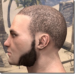 Lowhung Sideburns Male 2 Lowhung Sideburns Male 2