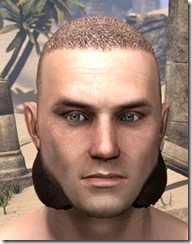 Lowhung Sideburns Male Lowhung Sideburns Male