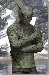 Melancholy Argonian Melancholy Argonian