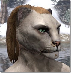 Nostril Ring and Chin Stud Khajiit Female 2 Nostril Ring and Chin Stud Khajiit Female 2