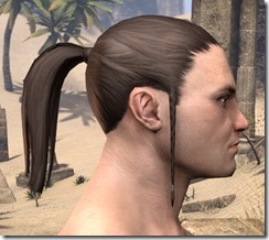 Ponytail with Braidlocks 2 Ponytail with Braidlocks 2