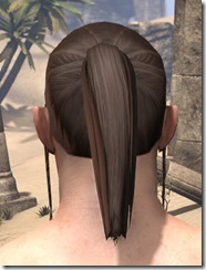 Ponytail with Braidlocks 3 Ponytail with Braidlocks 3