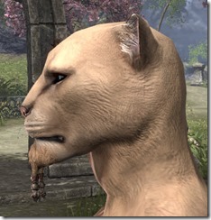 Quad Beaded Beardlet Khajiit Male 2 Quad Beaded Beardlet Khajiit Male 2