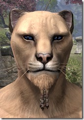 Quad Beaded Beardlet Khajiit Male Quad Beaded Beardlet Khajiit Male