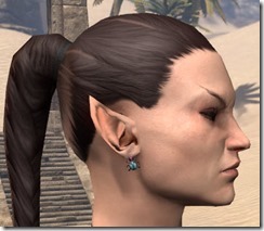 Scarab Earrings Female 2 Scarab Earrings Female 2