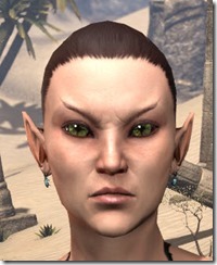 Scarab Earrings Female Scarab Earrings Female