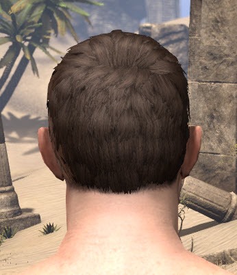 Eso Fashion Short Imperial Elder Scrolls Online