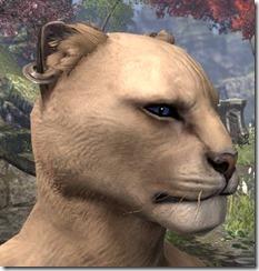 Single Crescent Khajiit Male 2 Single Crescent Khajiit Male 2