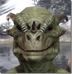Six Brow Rings Argonian Six Brow Rings Argonian