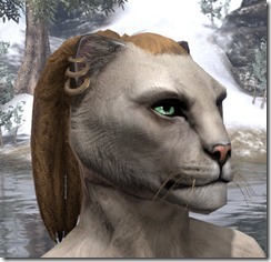 Three-Hoop Earrings Khajiit Female 2 Three-Hoop Earrings Khajiit Female 2