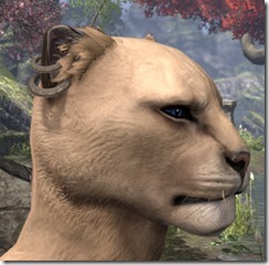 Two-Loop Earrings Khajiit Male 2 Two-Loop Earrings Khajiit Male 2