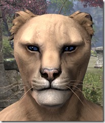 Two-Loop Earrings Khajiit Male Two-Loop Earrings Khajiit Male