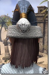 New Life Festival Cap - Female Back