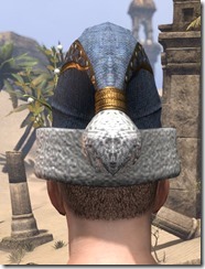 New Life Festival Cap - Male Back