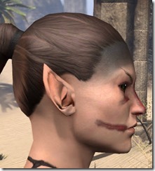 Black Brows, Red Strokes - Female Side Black Brows, Red Strokes - Female Side