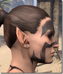 Brow Shield, Cheek Chevrons - Female Side Brow Shield, Cheek Chevrons - Female Side