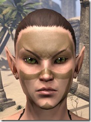 Brown brow & Cheek Chevrons - Female Front Brown brow & Cheek Chevrons - Female Front