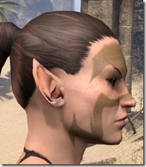 Brown brow & Cheek Chevrons - Female Side Brown brow & Cheek Chevrons - Female Side