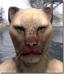 Burn-Scarred Nose and Chin - Male Front Burn-Scarred Nose and Chin - Male Front
