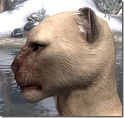 Burn-Scarred Nose and Chin - Male Side Burn-Scarred Nose and Chin - Male Side